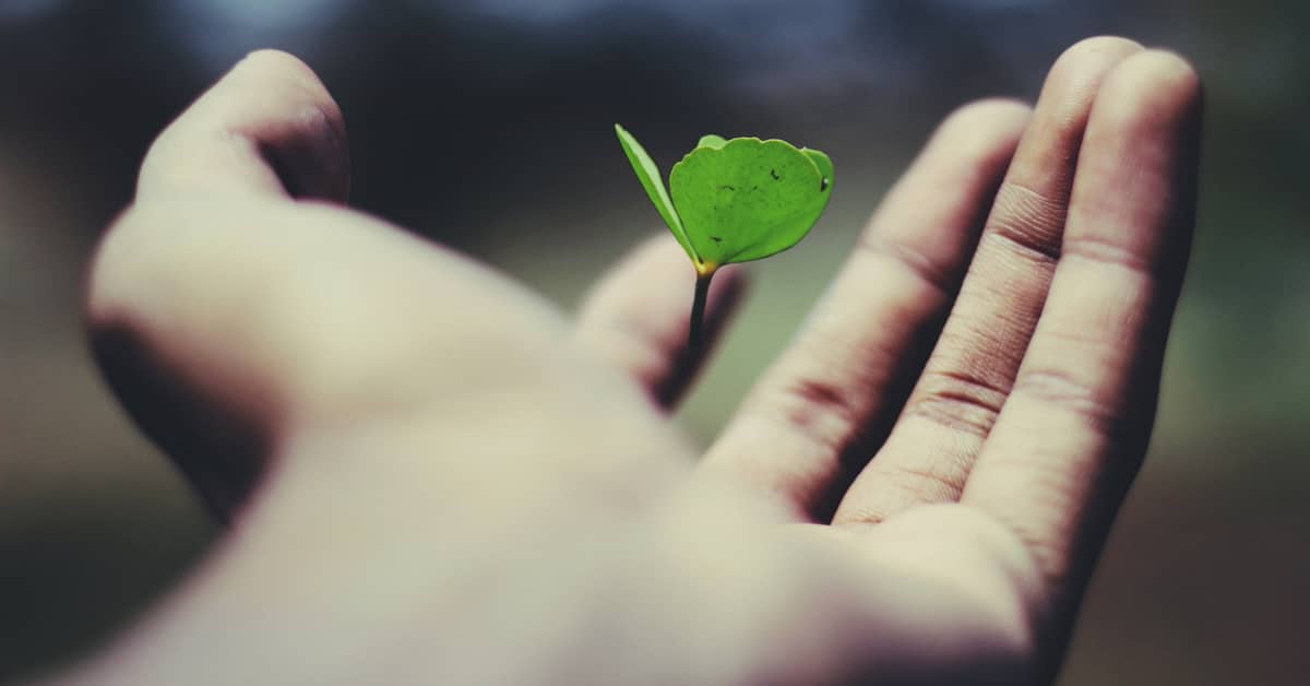 4 pontos para vender software